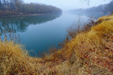 vahşi doğa, sonbahar mevsiminin sonları, nehir, yapraksız ağaçların çıplak dalları, sisli bulutlu hava, ağaçların silueti olan orman.