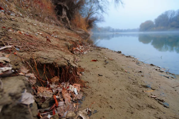 Wild Natuurlandschap Late Herfstseizoen Rivier Kale Takken Van Bomen Zonder — Stockfoto