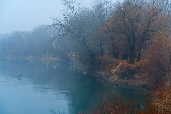 Dziki Krajobraz Późna Jesień Rzeka Nagie Gałęzie Drzew Bez Liści — Zdjęcie stockowe