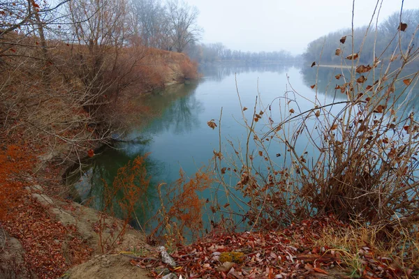 Дикий Природний Пейзаж Пізній Осінній Сезон Трава Березі Річки Голі — стокове фото