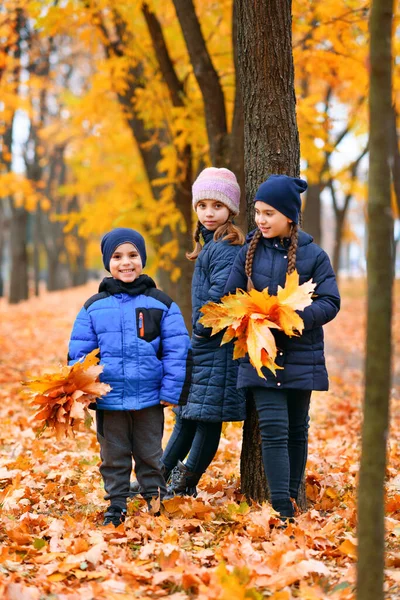 Sonbahar Şehir Parkında Sarı Akçaağaç Yapraklarıyla Oynayan Çocuklar Onlar Bir — Stok fotoğraf