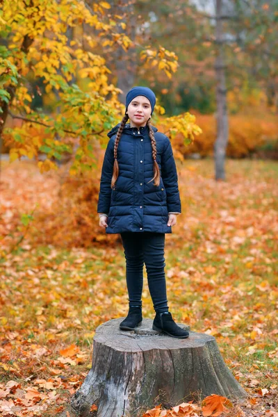 Retrato Uma Menina Parque Cidade Outono Cima Toco Bela Natureza — Fotografia de Stock