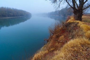 vahşi doğa, sonbahar mevsiminin sonları, nehir, yapraksız ağaçların çıplak dalları, sisli bulutlu hava, ağaçların silueti olan orman.