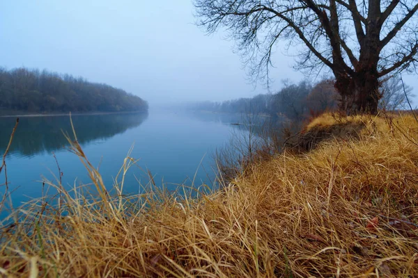 Paesaggio Naturale Selvaggio Tarda Stagione Autunnale Fiume Rami Spogli Alberi — Foto Stock