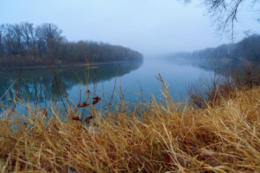 vahşi doğa, sonbahar mevsiminin sonları, nehir, yapraksız ağaçların çıplak dalları, sisli bulutlu hava, ağaçların silueti olan orman.