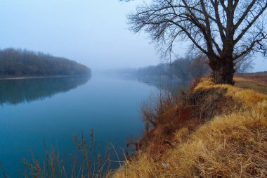 vahşi doğa, sonbahar mevsiminin sonları, nehir, yapraksız ağaçların çıplak dalları, sisli bulutlu hava, ağaçların silueti olan orman.