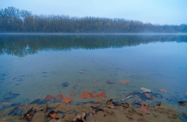 Дикий Природний Пейзаж Пізній Осінній Сезон Річка Голі Гілки Дерев — стокове фото