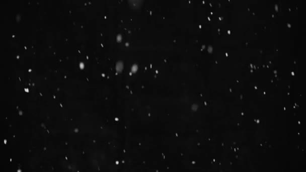 Естественные Реальные Кадры Снега Черном Фоне Изолированы Использованием Эффекта Наложения — стоковое видео