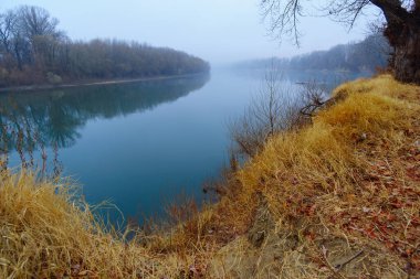 vahşi doğa, sonbahar mevsiminin sonları, nehir, yapraksız ağaçların çıplak dalları, sisli bulutlu hava, ağaçların silueti olan orman.