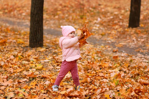 Kind Meisje Wandelen Herfst Stadspark Prachtige Natuur Bomen Met Gele — Stockfoto