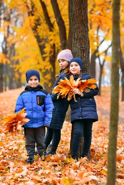 Дети Играют Желтыми Кленовыми Листьями Осеннем Городском Парке Стоят Ствола — стоковое фото