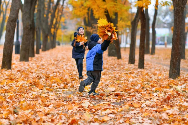 Dzieci Biegające Jesiennym Parku Miejskim Piękna Natura Drzewa Żółtymi Liśćmi — Zdjęcie stockowe