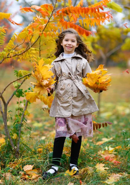 Portrait Une Fille Dans Parc Automne Enfant Tient Près Bel — Photo