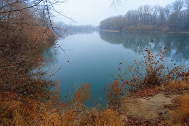vahşi doğal manzara, sonbahar mevsiminin sonları, nehir kıyısındaki çimenler, yapraksız ağaçların çıplak dalları, sisli bulutlu hava, ağaçların gölgeli orman
