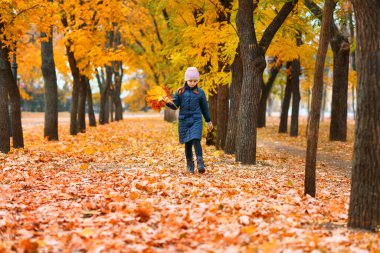 Sonbahar parkında yürüyen bir kızın portresi. Güzel doğa, sarı yapraklı ağaçlar..