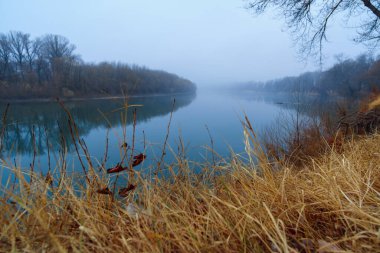 vahşi doğa, sonbahar mevsiminin sonları, nehir, yapraksız ağaçların çıplak dalları, sisli bulutlu hava, ağaçların silueti olan orman.