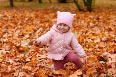 Sonbahar parkında düşen yaprakların üzerinde oturan kız çocuğu. Güzel doğa, sarı yapraklı ağaçlar..