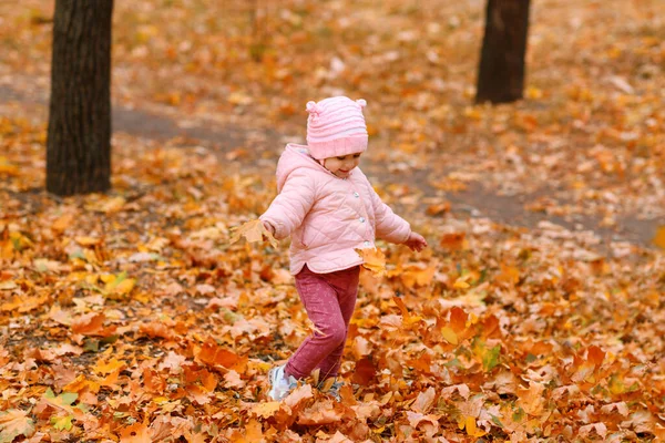 秋の都市公園を歩く子供の女の子 美しい自然 黄色の葉を持つ木 — ストック写真