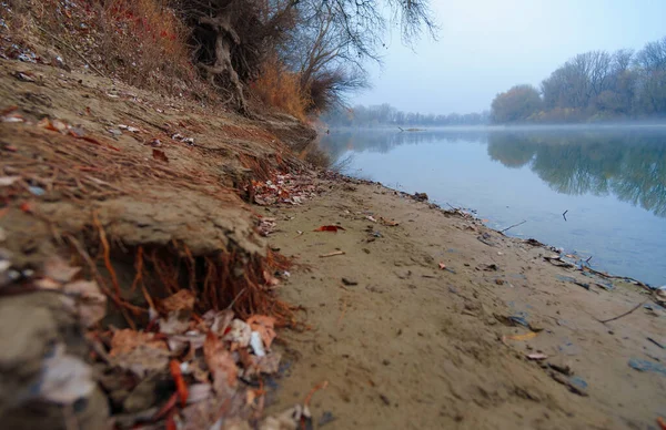 Wild Natuurlandschap Late Herfstseizoen Rivier Kale Takken Van Bomen Zonder — Stockfoto