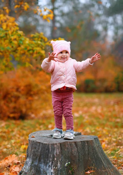 Retrato Uma Menina Parque Cidade Outono Posar Num Toco Bela — Fotografia de Stock