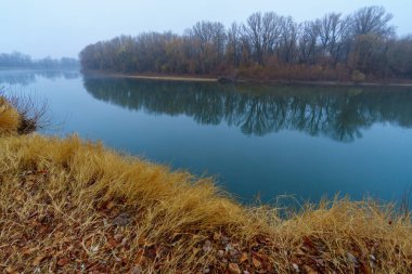 vahşi doğa, sonbahar mevsiminin sonları, nehir, yapraksız ağaçların çıplak dalları, sisli bulutlu hava, ağaçların silueti olan orman.