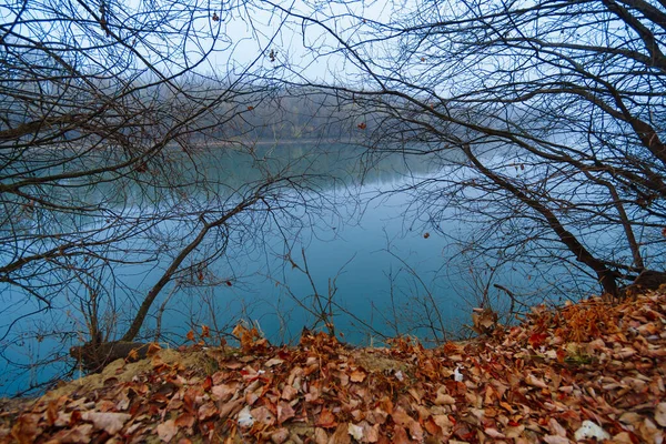 Wild Natural Landscape Late Autumn Season Bare Branches Trees Leaves — Stock Photo, Image