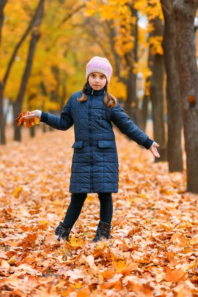 Sonbahar Parkında Bir Kız Çocuğunun Portresi Güzel Doğa Sarı Yapraklı — Stok fotoğraf