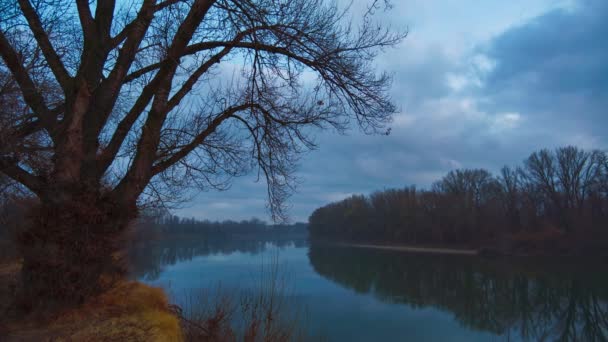 Akşamları Güzel Bir Sonbahar Manzarasının Zamanı Nehirli Bulutlu Bir Orman — Stok video