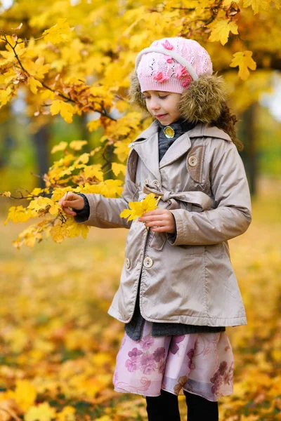 秋の公園で女の子の肖像画 子供は黄色の葉を持つ美しいカエデの木の近くに立っています 美しい自然 — ストック写真