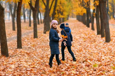Autumn City Park 'ta oynayan kızlar. İki çocuk sarı akçaağaç yapraklarıyla oynuyor. Sonbahar mevsimi, sarı ağaçlı güzel doğa..
