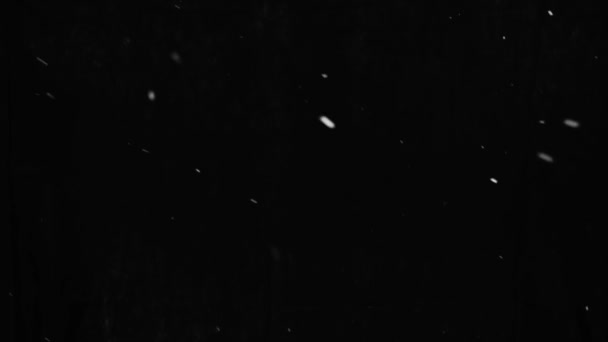 黑色背景上的自然真实雪片隔离 用于覆盖效果 — 图库视频影像