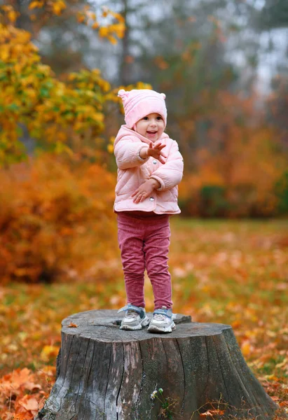 Retrato Uma Menina Parque Cidade Outono Posar Num Toco Bela — Fotografia de Stock