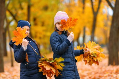 Sonbahar parkında oynayan ve poz veren kızlar. İki çocuk sarı akçaağaç yapraklarıyla oynuyor. Sonbahar mevsimi, sarı ağaçlı güzel doğa..