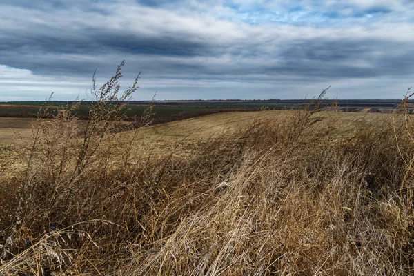 Paysage Spectaculaire Fin Automne Champ Agricole Avec Blé Sec Herbe — Photo