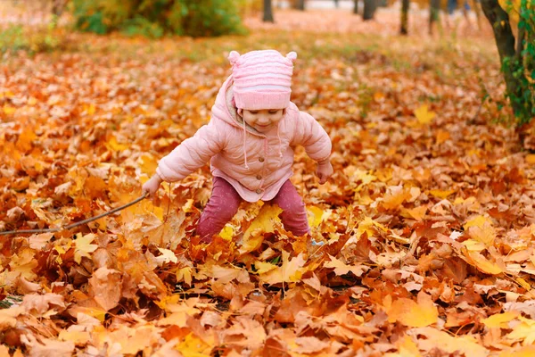 秋の都市公園で落ち葉で遊んでいる子供の女の子 美しい自然 黄色の葉を持つ木 — ストック写真