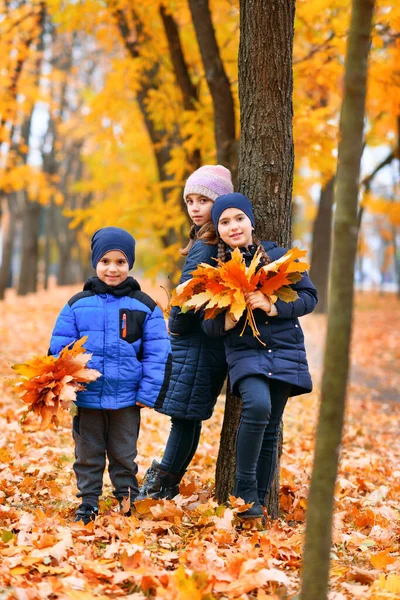 Kinderen Spelen Met Gele Esdoorn Bladeren Herfst Stadspark Staan Bij — Stockfoto