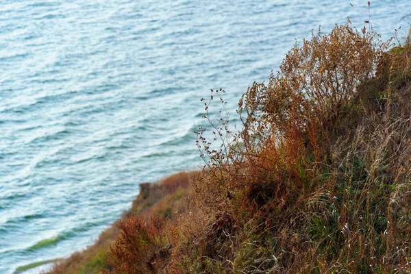 Güzel Deniz Manzarası Deniz Dalgalar Yüksek Tepelerden Manzara — Stok fotoğraf