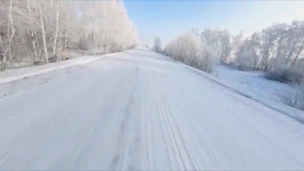 Foresta Della Neve Inverno — Video Stock