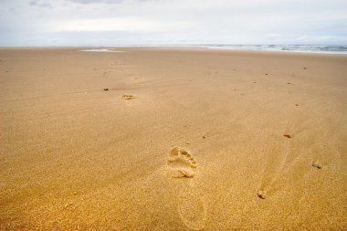 vahşi bir plajda ayak izleri
