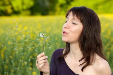 kadın üfleme karahindiba