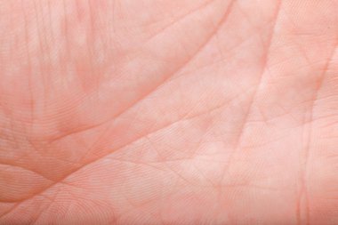 yaşam çizgisi makro erkek elde