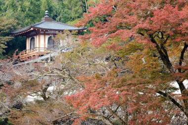 ryuanji Tapınağı sonbahar sahne