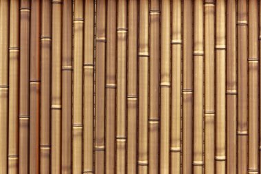 plastik bambu çit