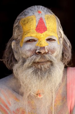 sadhu portre