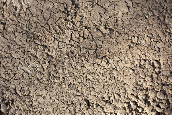 乾燥土壌テクスチャ — ストック写真