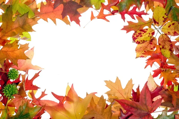 Fall leaves frame 2 — Stock Photo, Image