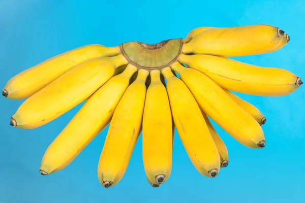 小香蕉群 — 图库照片