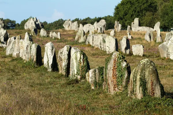 Megalitos de Carnac — Foto de Stock