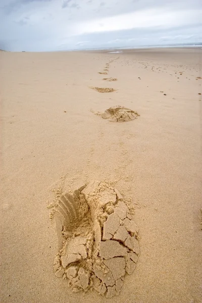 Empreintes de pas sur une plage sauvage — Photo