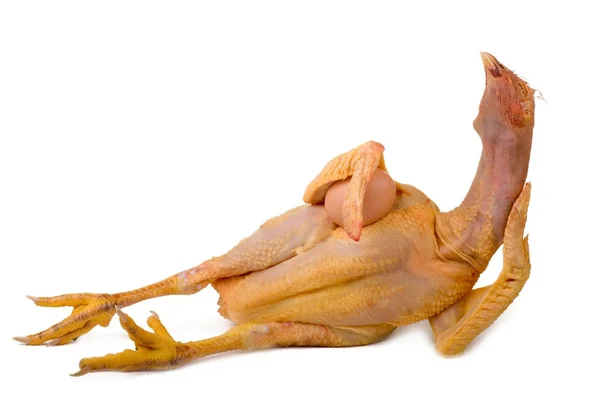 Proud poultry — Stock Photo, Image